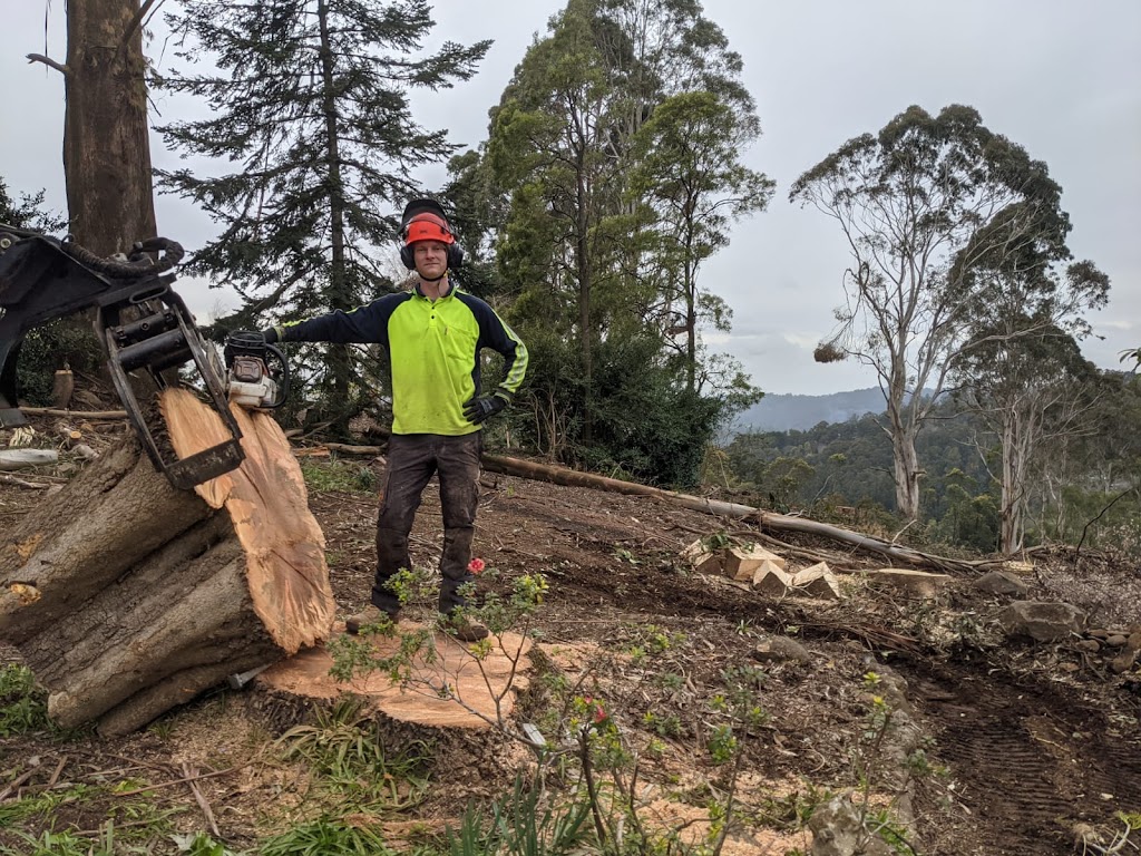 Plant Prune Remove | Main Neerim Rd, Neerim Junction VIC 3832, Australia | Phone: 0490 872 292 Plant Prune Remove | Main Neerim Rd, Neerim Junction VIC 3832, Australia | Phone: 0490 872 292