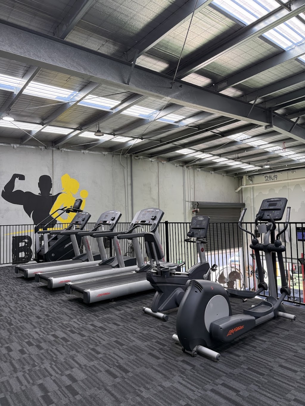 Pro-Active Torquay | 22 Cylinders Dr, Torquay VIC 3228, Australia | Phone: 1300 890 507