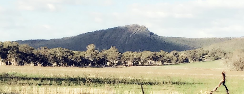 Noc-Tavean Outback Adventures | Boolaree, Lachlan Valley Way, Euabalong NSW 2877, Australia | Phone: 0472 544 828