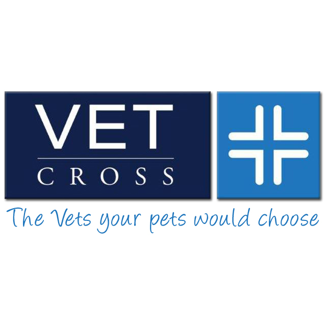 Photo by Vet Cross Bargara. Vet Cross Bargara | veterinary care | Bargara Central Shopping Centre, 19/699 Bargara Rd, Bargara QLD 4670, Australia | 0741305003 OR +61 7 4130 5003