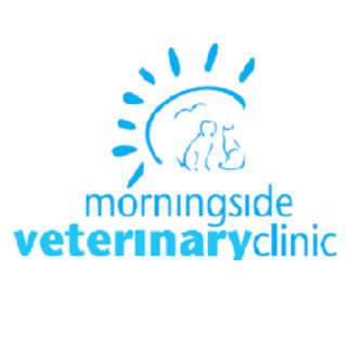 Morningside Veterinary Clinic | veterinary care | 560 Wynnum Rd, Morningside QLD 4170, Australia | 0733997055 OR +61 7 3399 7055