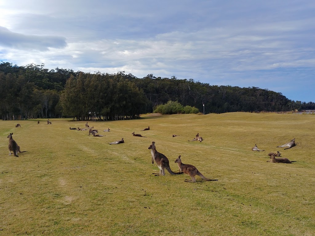 Reef Point | Acheron Trail, Maloneys Beach NSW 2536, Australia