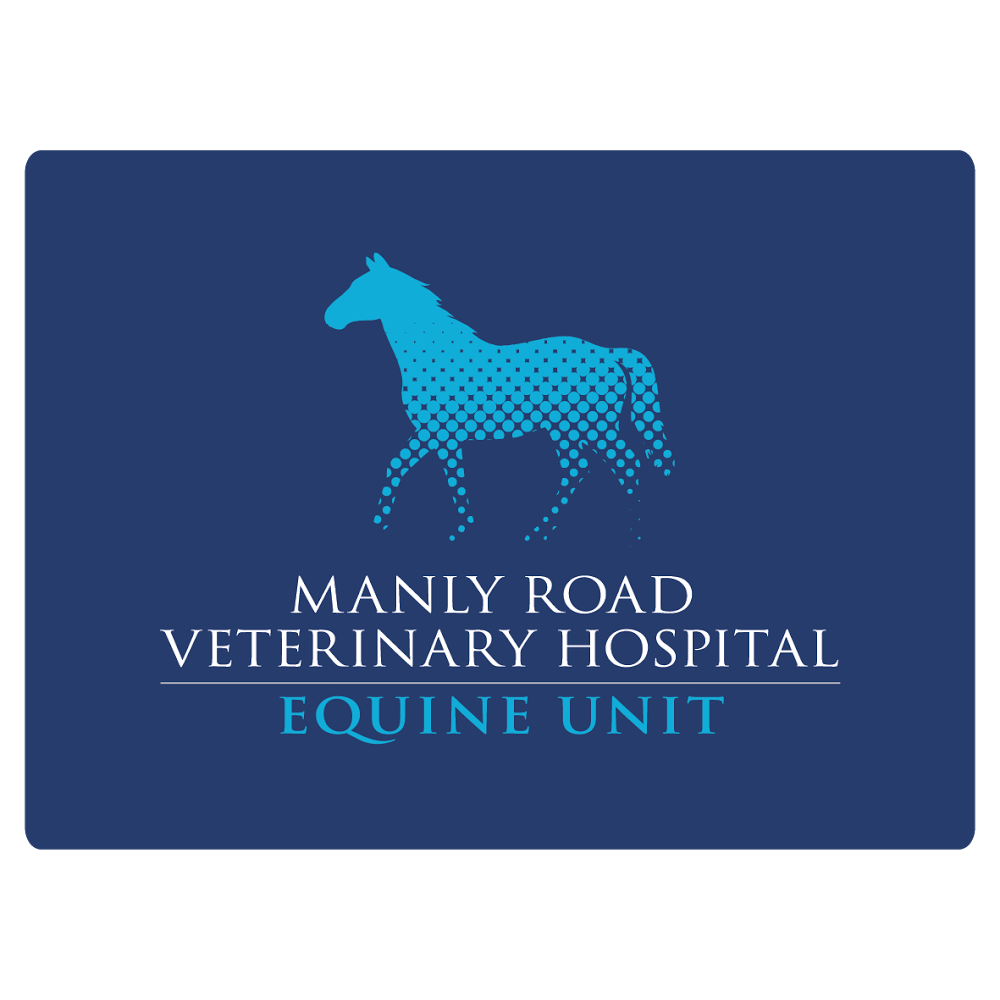 Manly Road Veterinary Hospital-Dr Christine Kidd | veterinary care | 219 Manly Rd, Manly West QLD 4179, Australia | 0733969733 OR +61 7 3396 9733
