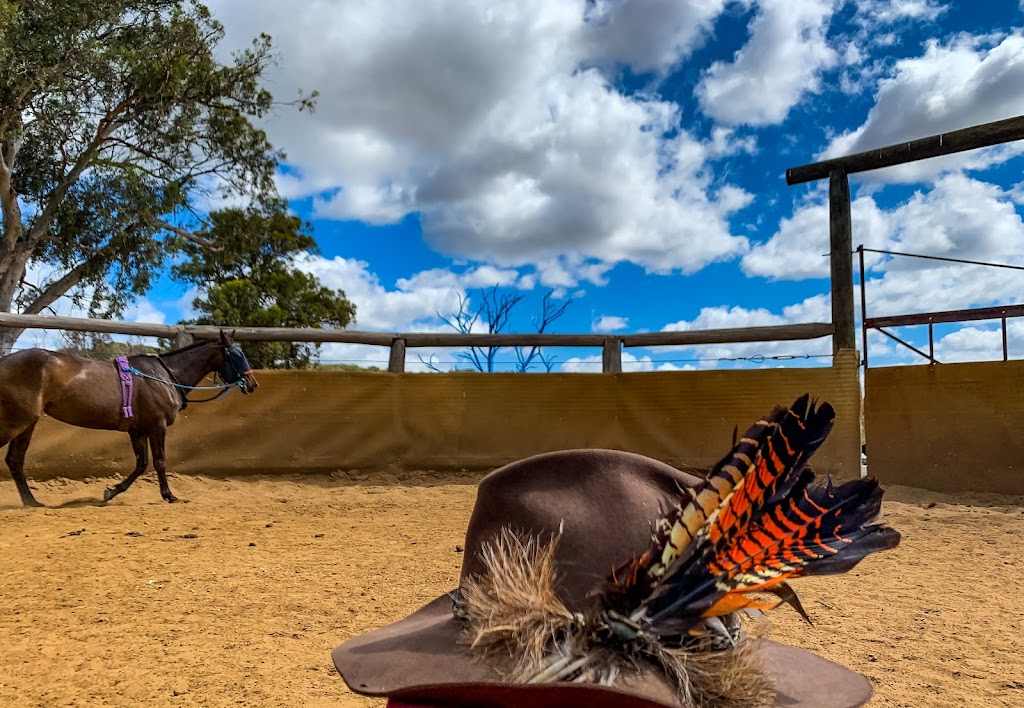 Jarrahdale Equestrian Centre |  | 162 Jarrahdale Rd, Jarrahdale WA 6124, Australia | 0427255291 OR +61 427 255 291