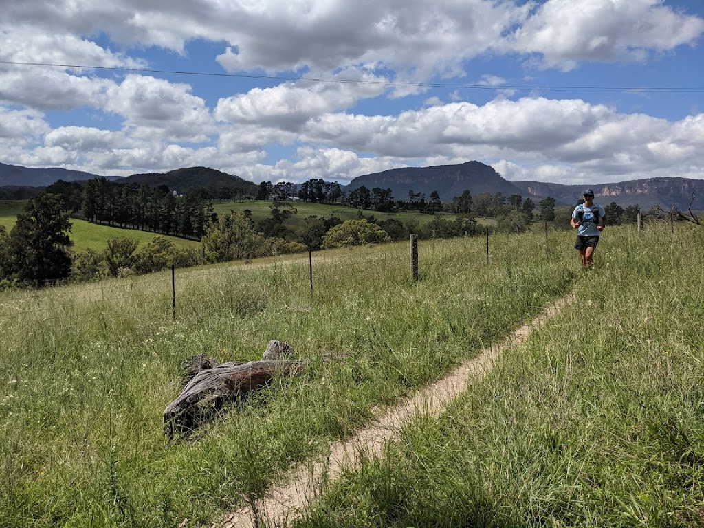 Running Adventures | 11 Mootay Cl, Buff Point NSW 2262, Australia | Phone: 0455 083 063