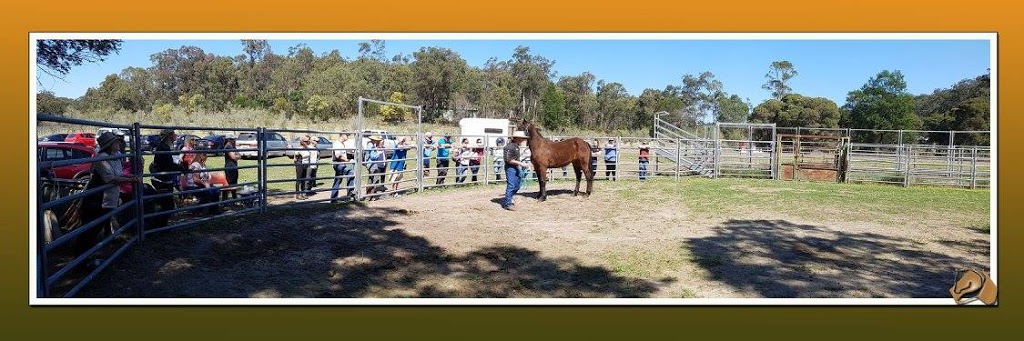 Horse Rescue Australia | 220 Crooked Ln, North Richmond NSW 2754, Australia | Phone: (02) 8250 1442