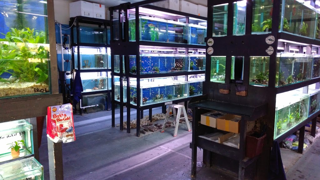 Gem Aquatics | pet store | 1/10 Weedon Cl, Belconnen ACT 2617, Australia | 0262514262 OR +61 2 6251 4262