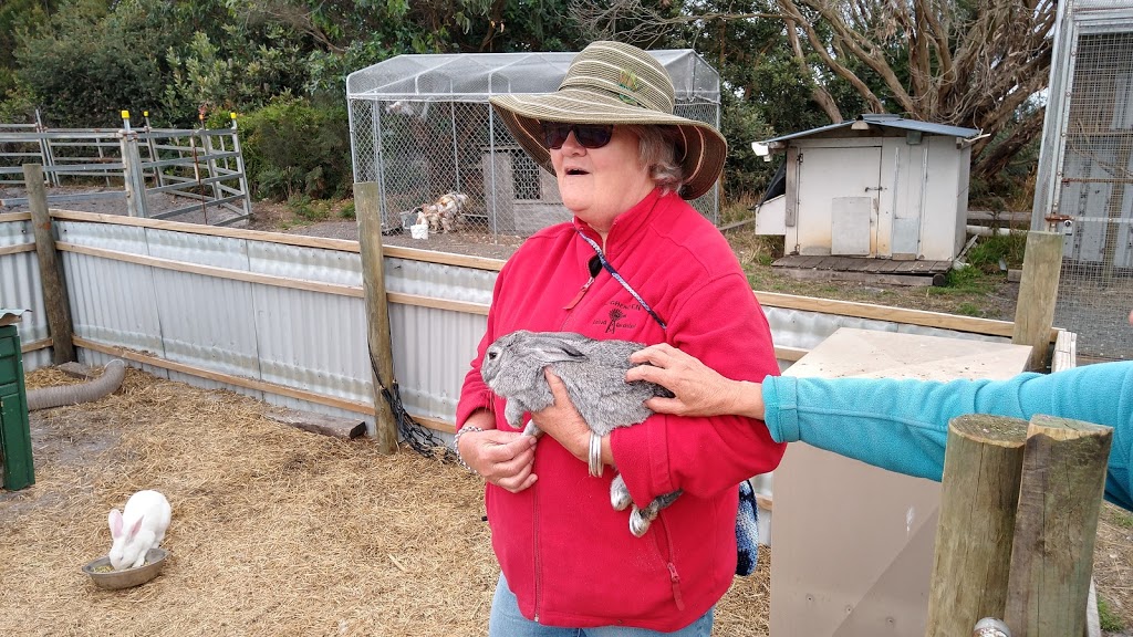 Tarkine Animal Park | zoo | 253 Stanley Hwy, Stanley TAS 7331, Australia | 0438355273 OR +61 438 355 273