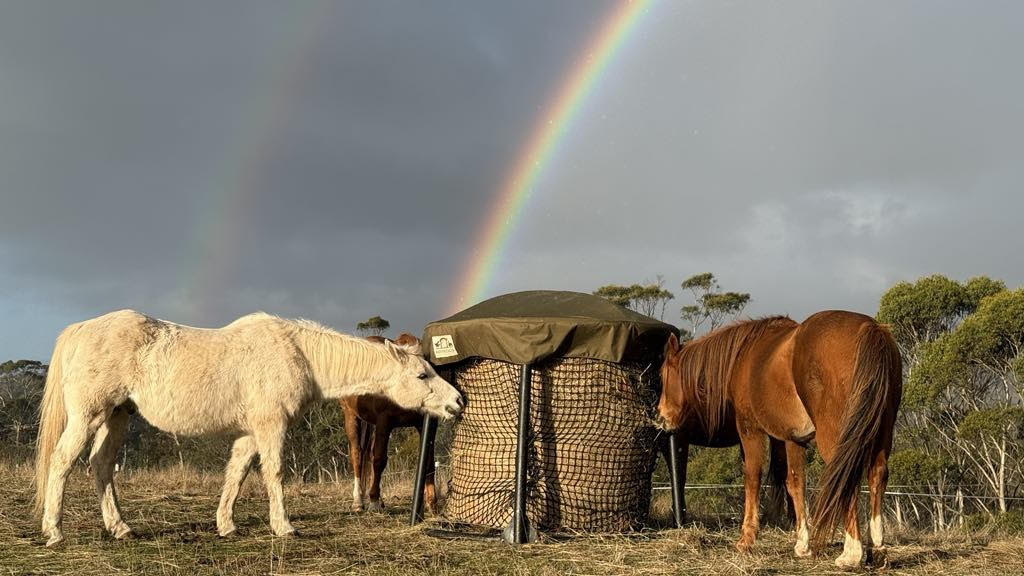 HayFresco Pty Ltd | 15 Cooks Rd, Nubeena TAS 7184, Australia | Phone: 0439 842 442