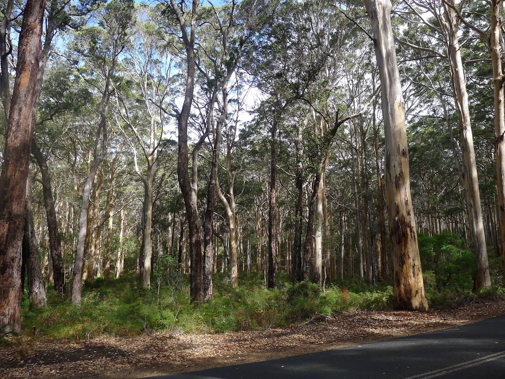 Forest Grove National Park | park | Furniss Rd, Forest Grove WA 6286, Australia | 0897525555 OR +61 8 9752 5555