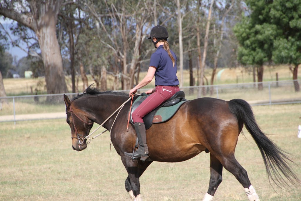Cavallo Acres Horsemanship | Baldwin Rd, Harston VIC 3616, Australia | Phone: 0417 302 061