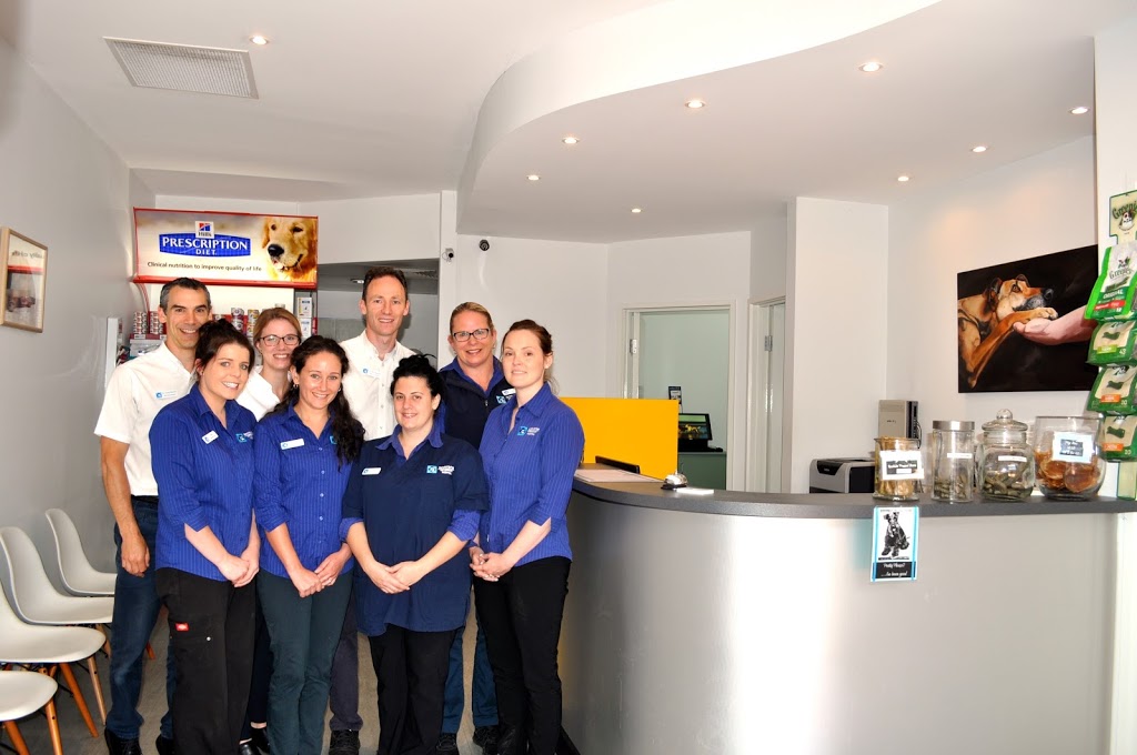 Berwick Springs Veterinary Hospital | pharmacy | 1a/248 Clyde Rd, Berwick VIC 3806, Australia | 0397021200 OR +61 3 9702 1200