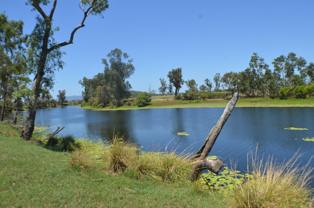 Hedlow Creek Reserve | park | LOT 1 Lake Mary Rd, Lake Mary QLD 4703, Australia