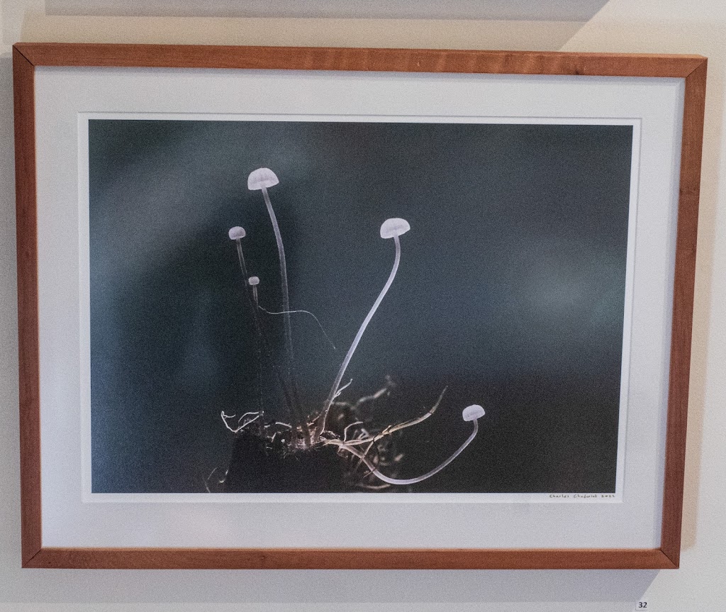 Theia Pictures | 21A Brushy Creek Rd, Lenah Valley TAS 7008, Australia | Phone: 0406 625 041