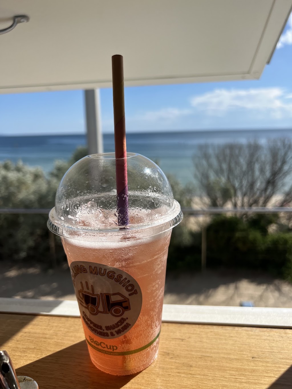 Rolling Mugshot | Beach Foreshore, 121 Beach Rd, Parkdale VIC 3195, Australia | Phone: 0427 704 042
