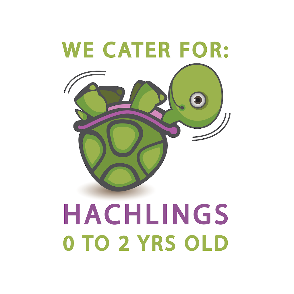 Happy Turtle Childcare | 528 Ontario Ave, Mildura VIC 3500, Australia | Phone: (03) 5021 2933