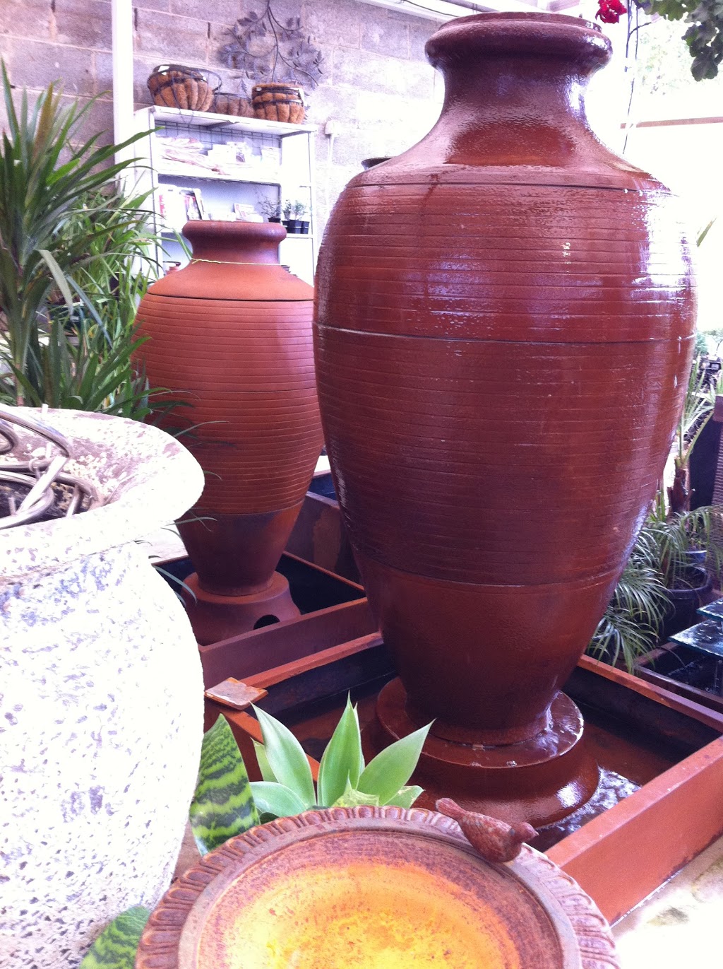 Del Jardin Nursery | store | shop 1/81 Prince St, Rosedale VIC 3847, Australia | 0351992991 OR +61 3 5199 2991