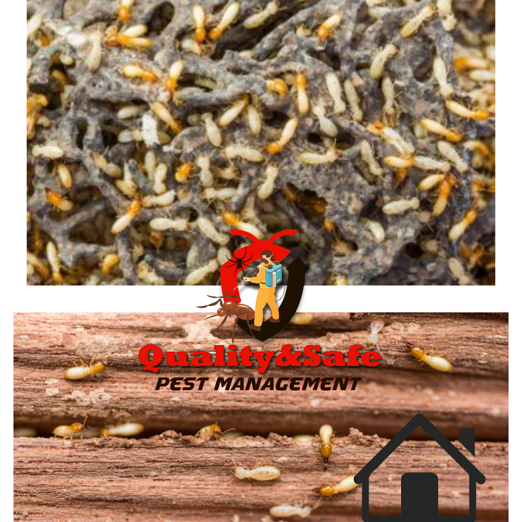Quality&Safe Pest Management | home goods store | 9 Coral Pea Ct, Colyton NSW 2760, Australia | 0481141877 OR +61 481 141 877