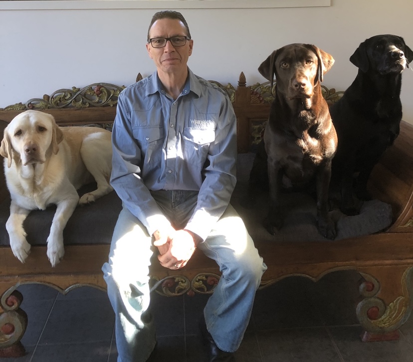 Talking Tails | Samford Community Hub, 2204 Mount Samson Rd, Samford Valley QLD 4520, Australia | Phone: 0434 554 630
