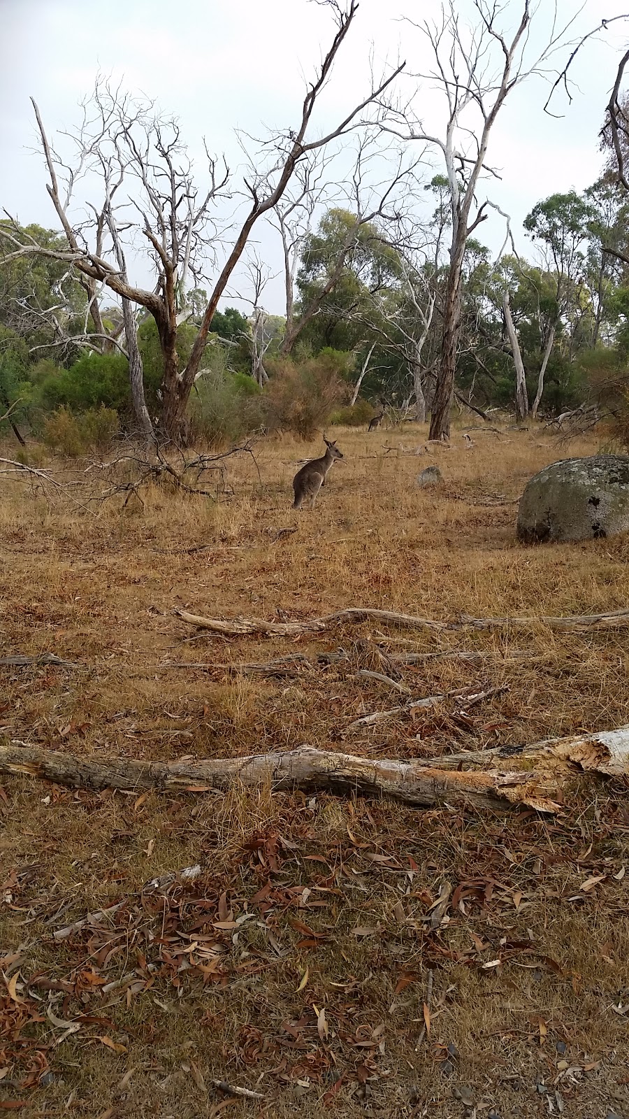 Churchill National Park | Lysterfield South VIC 3156, Australia | Phone: 13 19 63