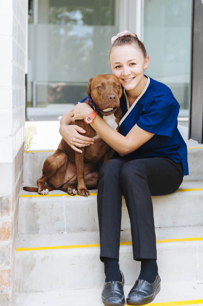 Aspley Veterinary Practice | veterinary care | 758 Zillmere Rd, Aspley QLD 4034, Australia | 0732633166 OR +61 7 3263 3166