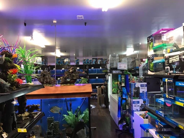 Mackay City Pet Barn | pet store | 49 Juliet St, South Mackay QLD 4740, Australia | 0749573838 OR +61 7 4957 3838