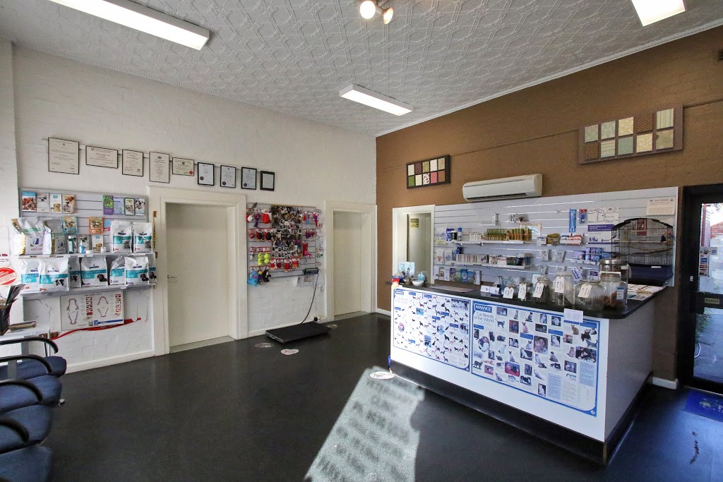 Camberwell Veterinary Clinic | veterinary care | 896-898 Riversdale Rd, Camberwell VIC 3124, Australia | 0398360536 OR +61 3 9836 0536