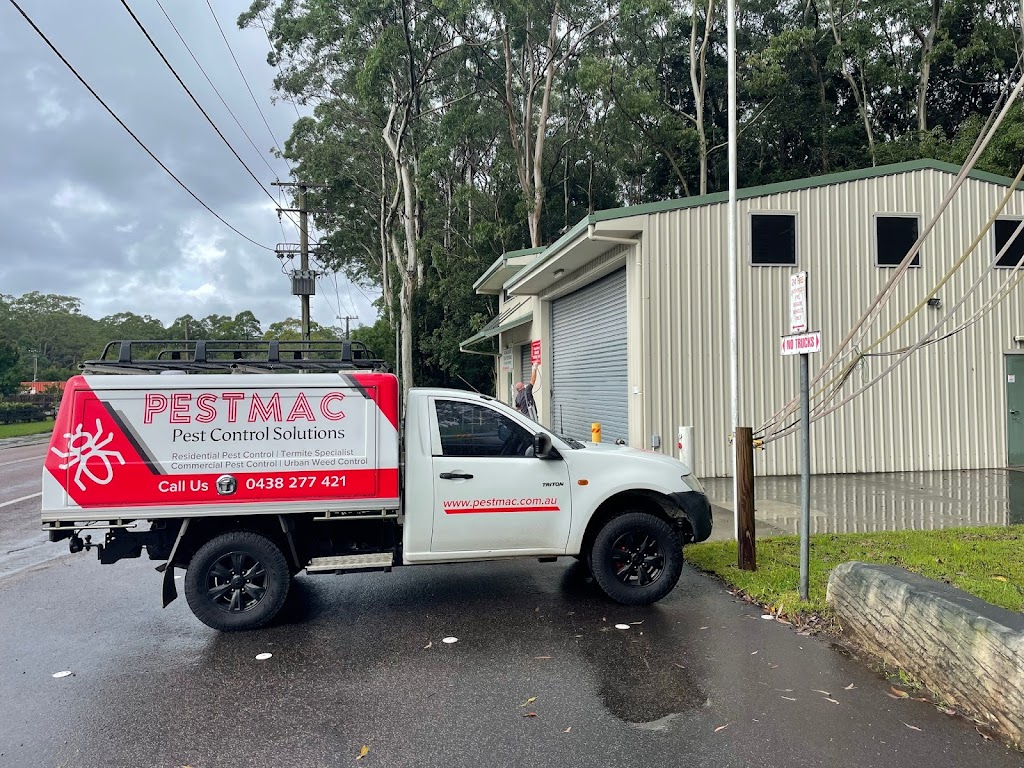 Pestmac Pest Control Solutions | 23 Patterson Cl, Holgate NSW 2250, Australia | Phone: 0414 195 245