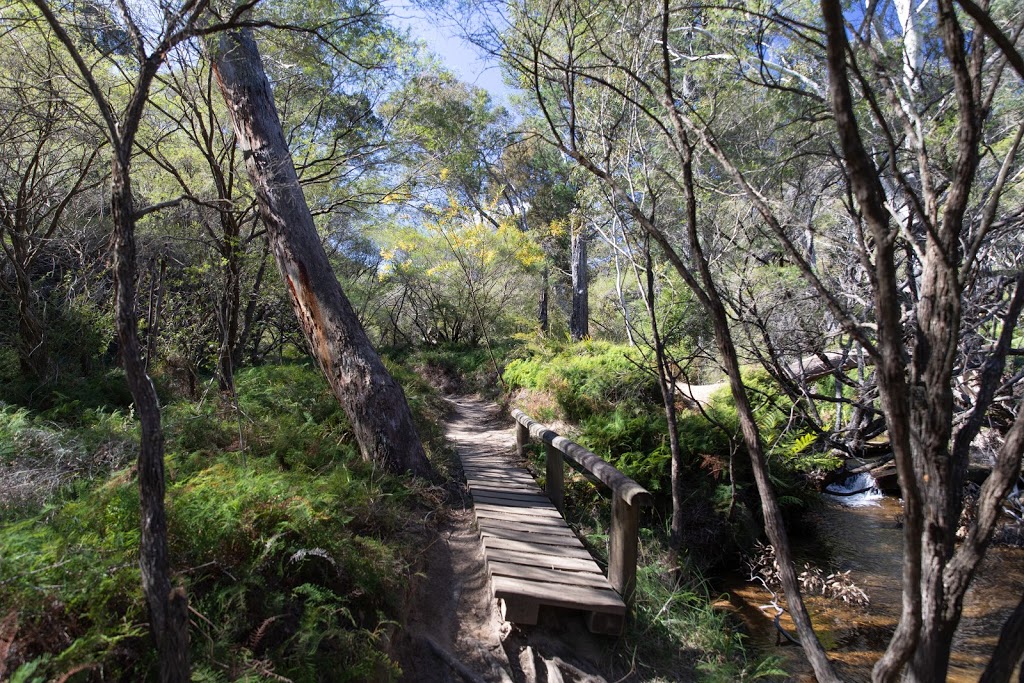 Charles Darwin Walk | park | Darwins Walk, Wentworth Falls NSW 2782, Australia | 1300653408 OR +61 1300 653 408