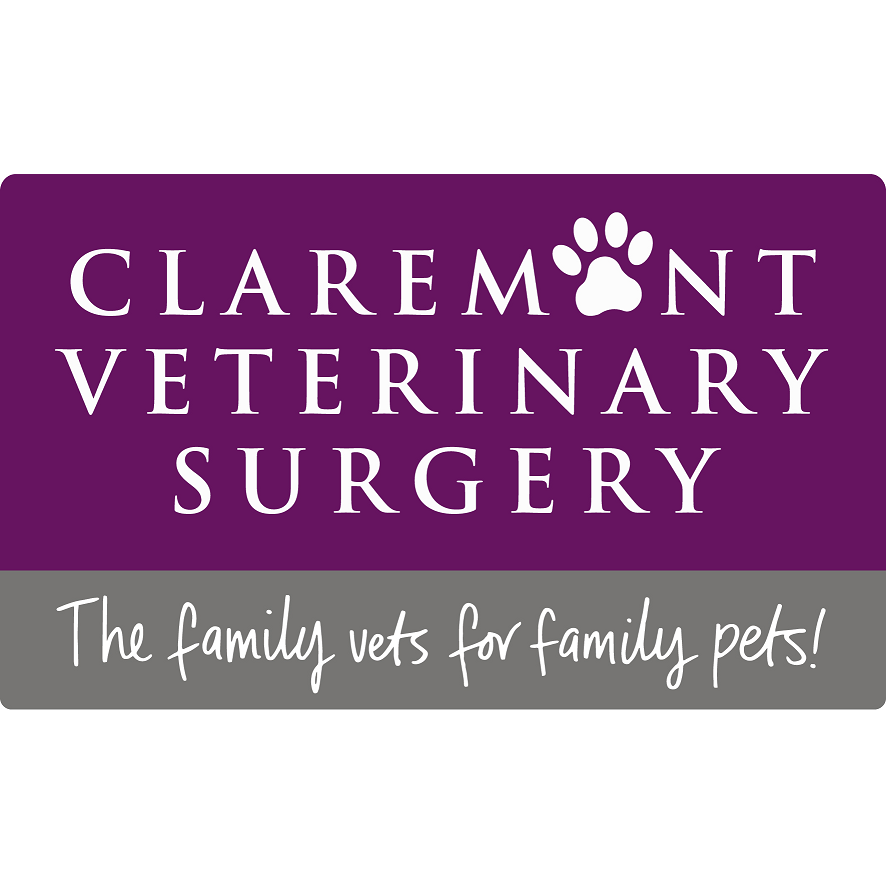 Claremont Veterinary Surgery | veterinary care | 2/55 Main Rd, Claremont TAS 7011, Australia | 0362895262 OR +61 3 6289 5262