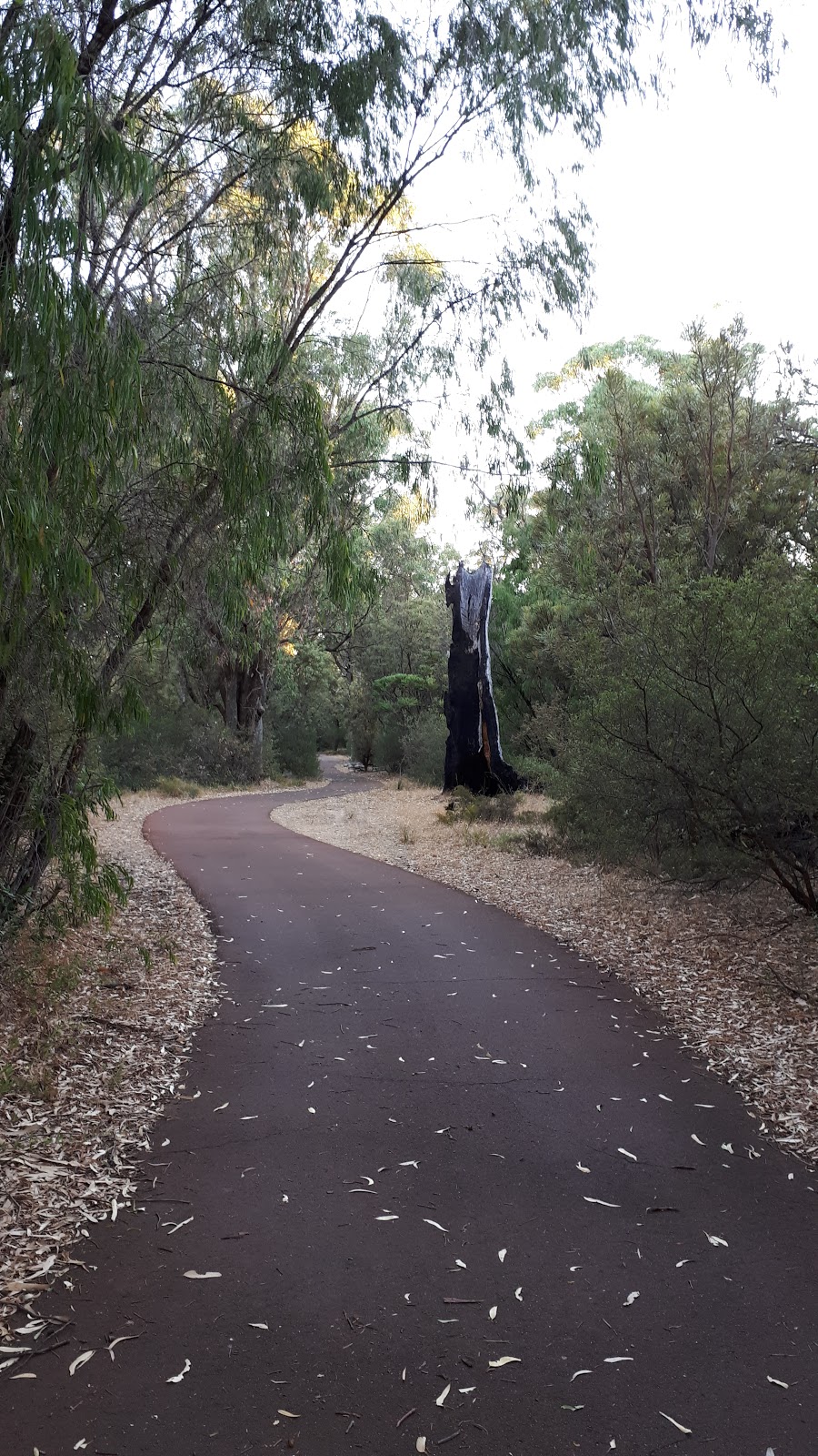 Tuart Walk | park | Tuart Walk, Usher WA 6230, Australia
