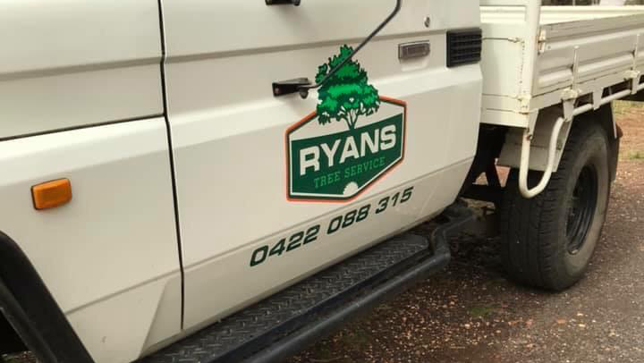 Ryans Tree Service | 16R Boundary Creek Rd, Dubbo NSW 2830, Australia | Phone: 0422 088 315