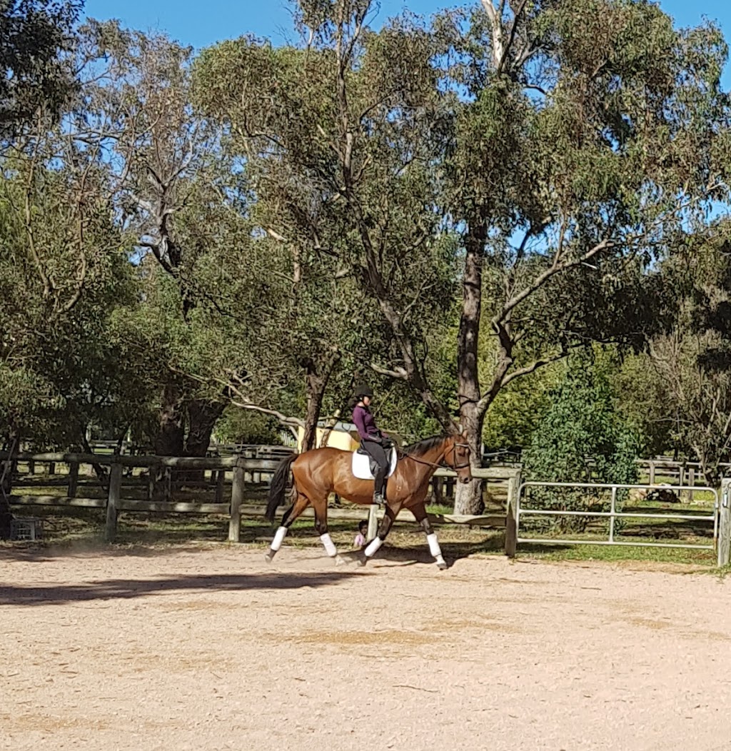 Rickety Ranch | 2 Phar lap drive Darling Downs, Byford WA 6122, Australia | Phone: 0417 177 482