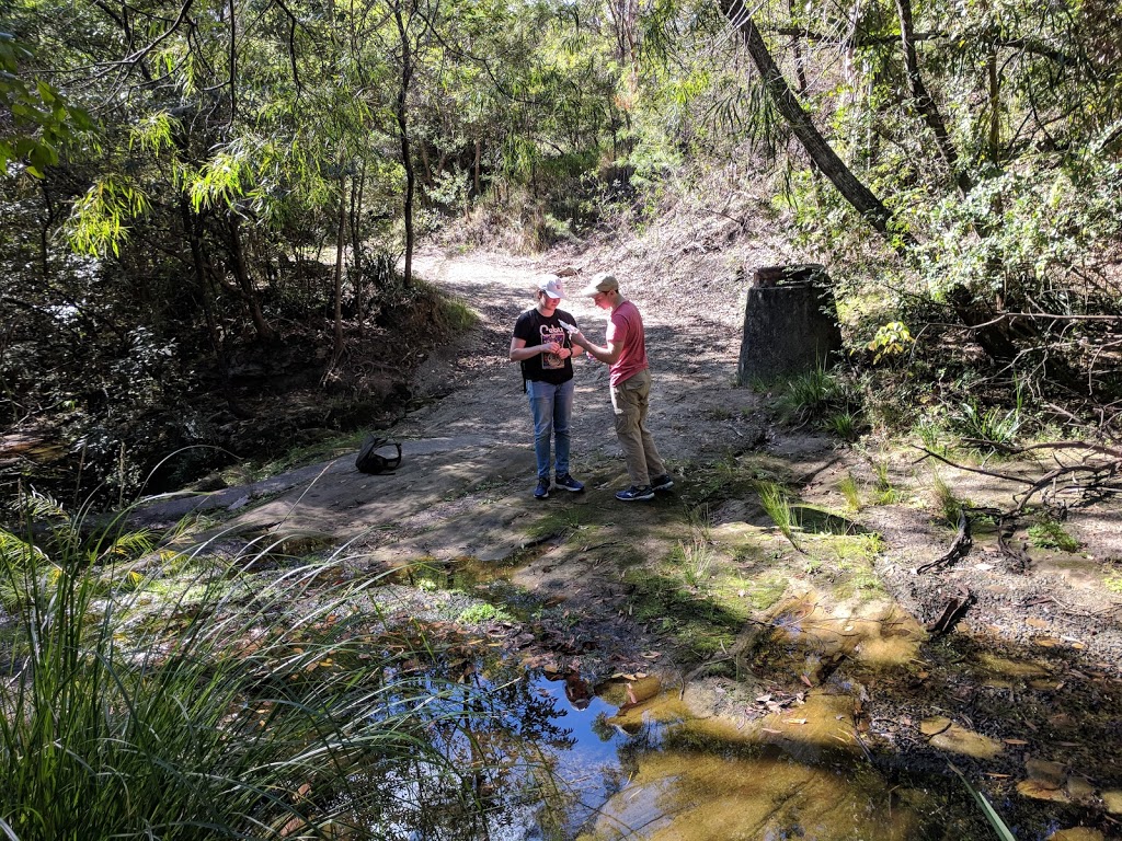 Ku-ring-gai Wildflower Garden | park | 420 Mona Vale Rd, St. Ives NSW 2075, Australia | 0294240353 OR +61 2 9424 0353