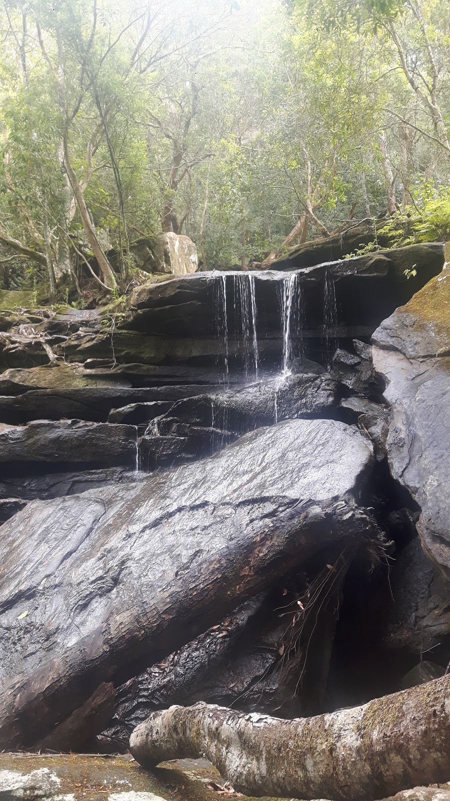 Somersby Falls Parking | parking | Brisbane Water National Park, Somersby Falls Rd, Somersby NSW 2250, Australia | 0243204200 OR +61 2 4320 4200