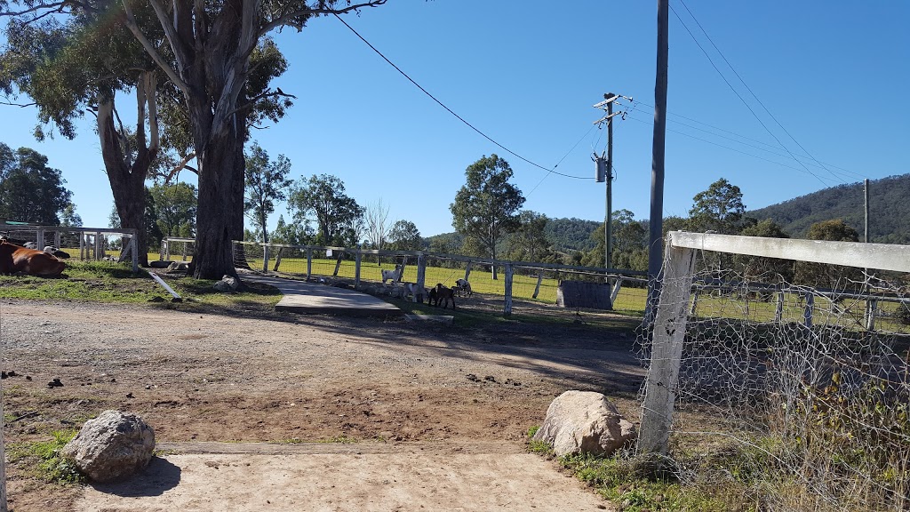 Gummies Bush Camps | lodging | 400 Biddaddaba Creek Rd, Canungra QLD 4275, Australia | 0755430191 OR +61 7 5543 0191