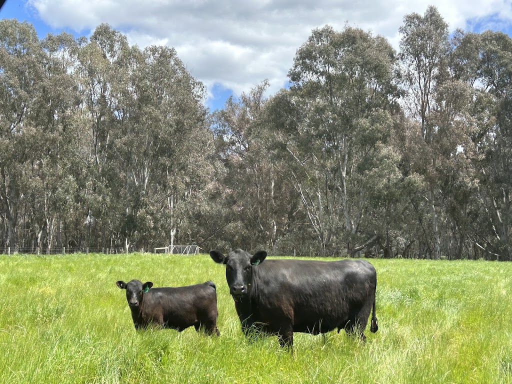 Arcadia Farms | 291 Goulburn Valley Hwy, Seymour VIC 3660, Australia | Phone: 0416 420 684