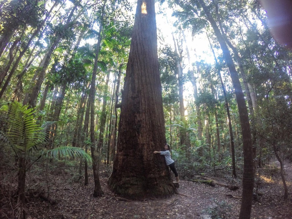 Discovery Fraser Island Tours | 18 Spectrum St, Rainbow Beach QLD 4581, Australia | Phone: (07) 5449 0393