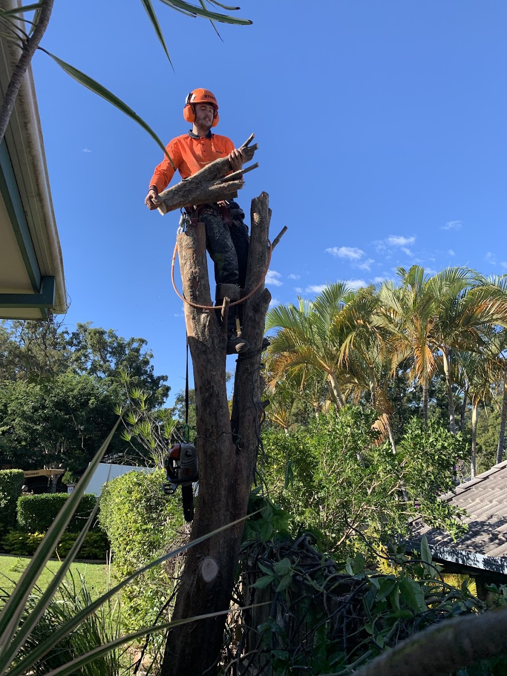 Gold Coast Tree Loppers | Helensvale QLD 4212, Australia | Phone: 0411 722 434