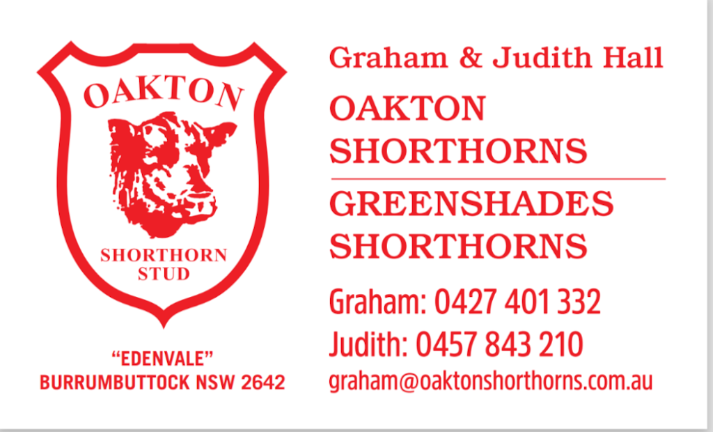 Oakton Shorthorns | 102 Sutherland Rd, Burrumbuttock NSW 2642, Australia | Phone: 0427 401 332