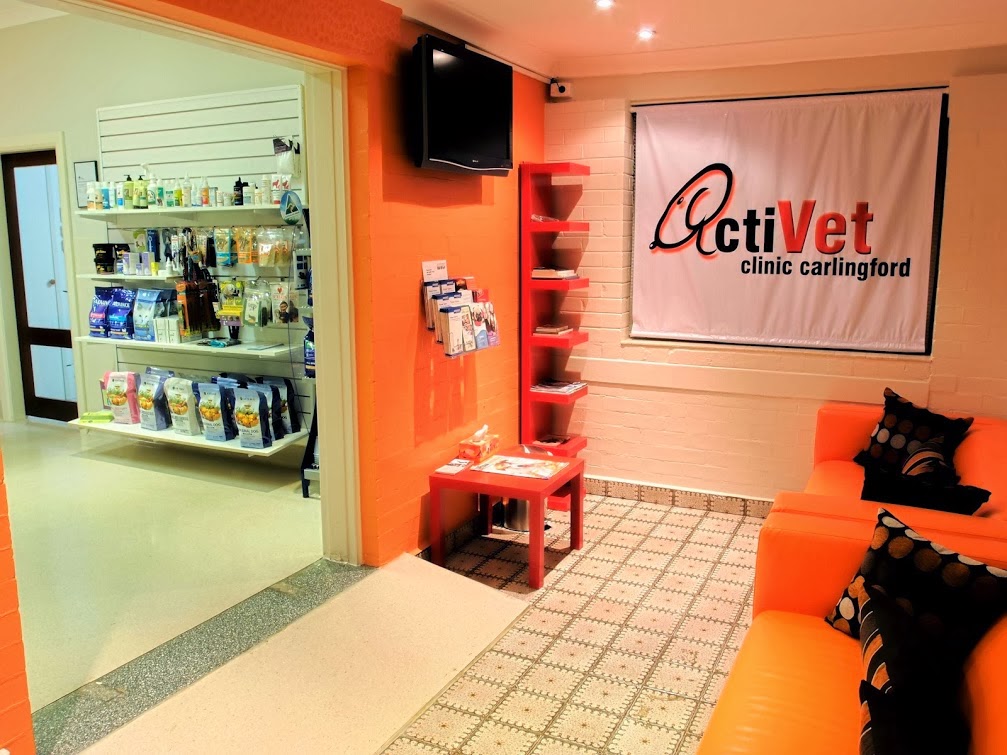 ActiVet Clinic Carlingford | veterinary care | 274 Pennant Hills Rd, Carlingford NSW 2118, Australia | 0298716838 OR +61 2 9871 6838