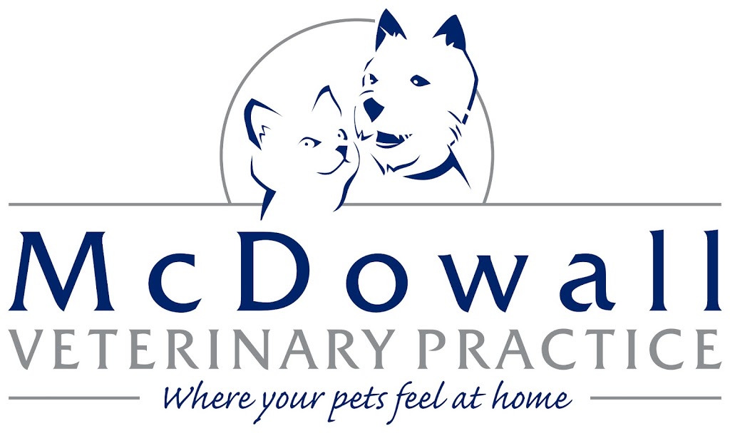 McDowall Veterinary Practice | veterinary care | Shop 8A McDowall Village Shopping Centre, 109 Beckett Road,, McDowall QLD 4053, Australia | 0733536999 OR +61 7 3353 6999