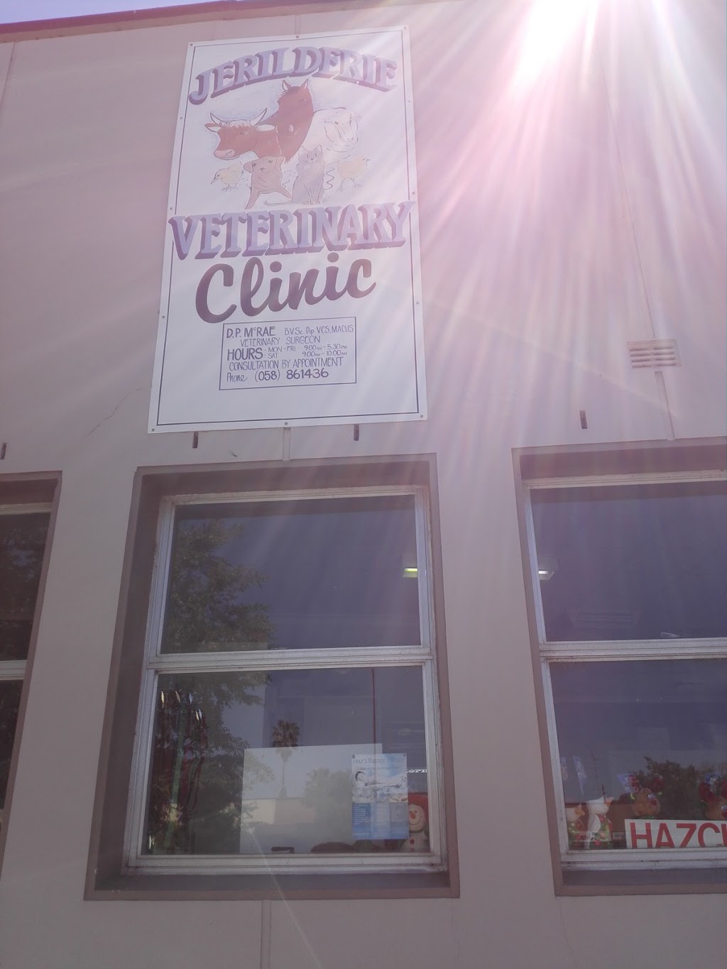 Jerilderie Veterinary Clinic | veterinary care | 73 Jerilderie St, Jerilderie NSW 2716, Australia | 0358861436 OR +61 3 5886 1436