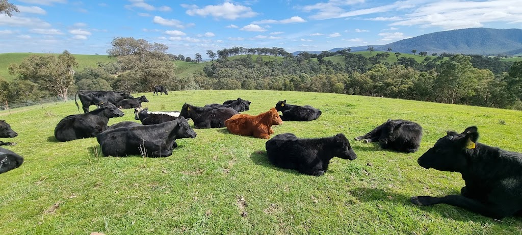 Moss Park Farm St Andrews | Jacksons Rd, St Andrews VIC 3761, Australia | Phone: 0431 825 466