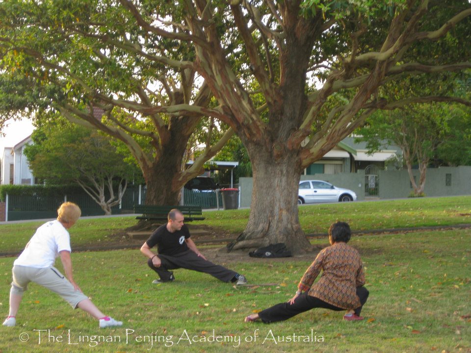 The Lingnan Penjing Academy of Australia | health | 1/24 Cox St, Lue NSW 2850, Australia | 0404157822 OR +61 404 157 822