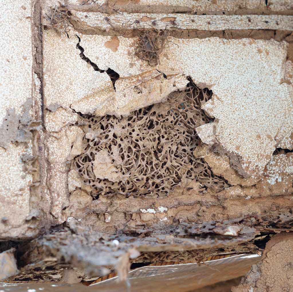 ABC Termite Control Oakhurst ✔️ | home goods store | ABC Termite Control, Oakhurst NSW 2761, Australia | 0488885835 OR +61 488 885 835