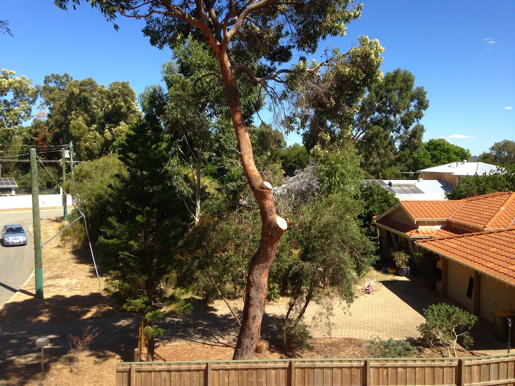 Hills Tree Solutions |  | 4 Sutcliffe Rd, Mundaring WA 6073, Australia | 0892956511 OR +61 8 9295 6511