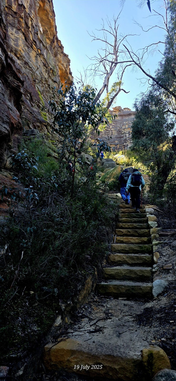 Lost City Walking Track | Lost City Walking Track, Marrangaroo NSW 2790, Australia | Phone: 1300 072 757