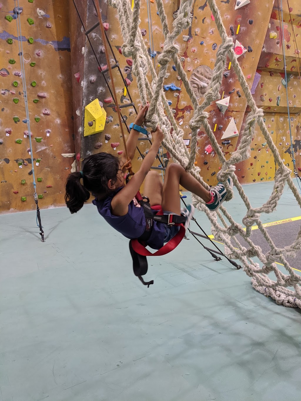 The Climbing Centre | school | Unit 3/16 - 24 Borec Rd, Penrith NSW 2750, Australia | 0247311130 OR +61 2 4731 1130