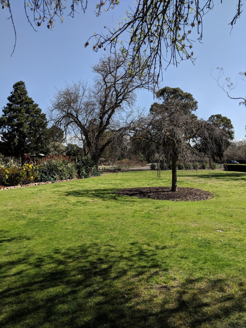 Horsham Botanic Gardens | park | Horsham VIC 3400, Australia